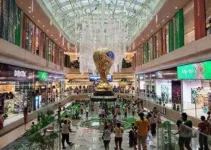 transmissão da Copa do Brasil