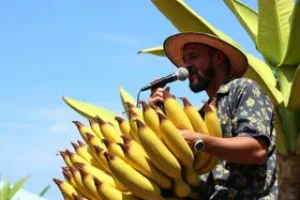 Festa da Banana